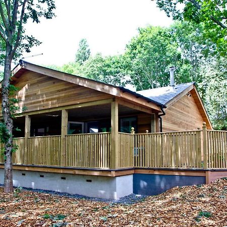 Cedar Lodge, South View Lodges, エクセター エクステリア 写真
