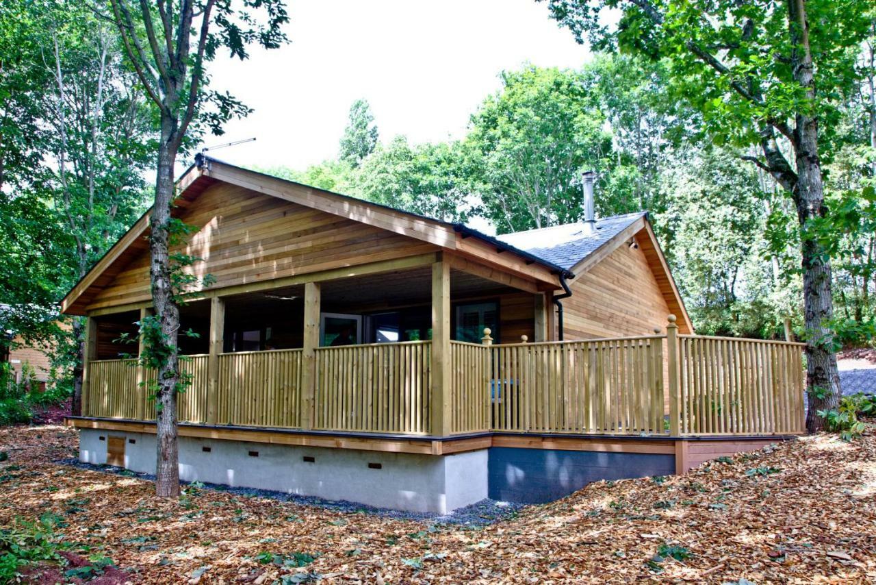 Cedar Lodge, South View Lodges, エクセター エクステリア 写真