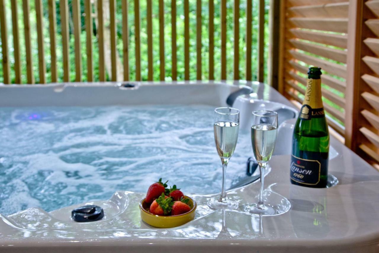 Cedar Lodge, South View Lodges, エクセター エクステリア 写真